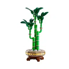 Botanicals Lucky Bamboo