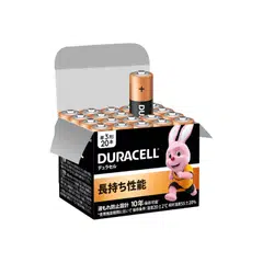 AA Alkaline Batteries (20-Pack)