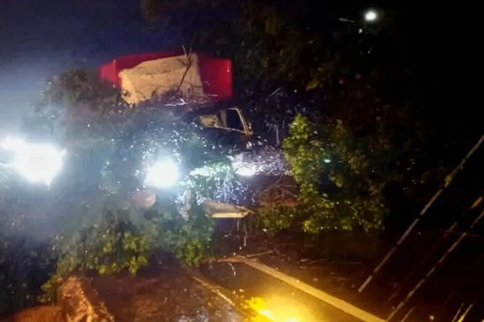 Ribut, 2 cedera akibat pokok tumbang di Selangor, sekolah di Perlis terjejas