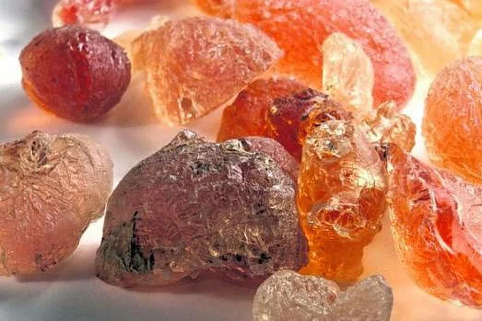 GUM ARABIC: Dikatakan kaya dengan mineral, asid amino dan prebiotik. - Foto OSMAN ALI