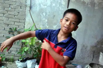 Seorang kanak-kanak, Syed Syahir Rizqullah Tuan Amir Safuan, menunjukkan kesakitan yang dialaminya hingga ke paras bahu selepas memegang seekor obor-obor ketika berkelah bersama keluarganya di Pantai Beting Lintang, tidak jauh dari Bukit Kluang di Jertih, Terengganu.