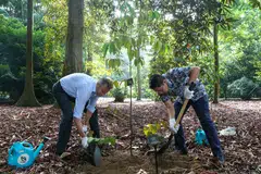 LAMBANG PERKUKUH HUBUNGAN: Duta Finland ke Singapura, Encik Antti Vänskä (kiri) dan Menteri Kedua Ehwal Luar merangkap Menteri di Pejabat Perdana Menteri, Dr Mohamad Maliki Osman (kanan), bersama-sama menamam pokok untuk memperingati ulang tahun ke-50 hubungan diplomatik antara Singapura dan Finland di Kebun Singapura pada 23 Julai.