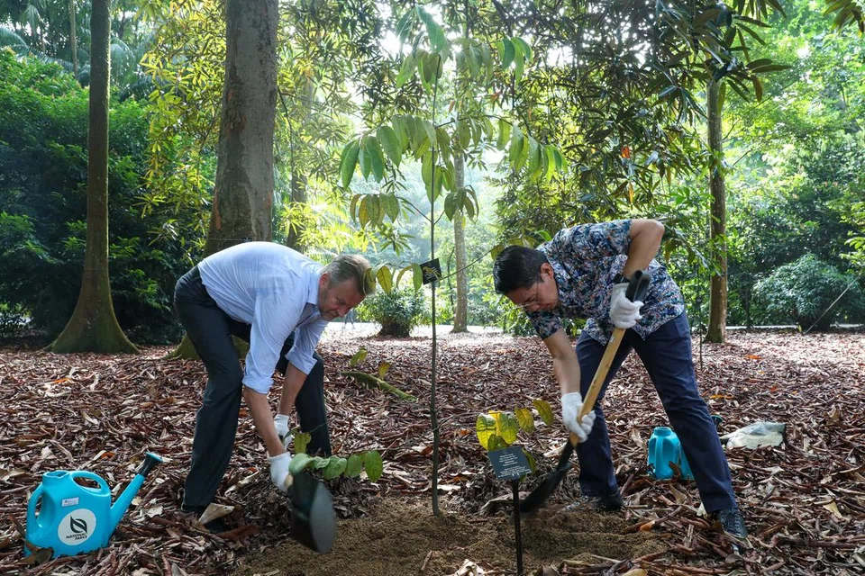 LAMBANG PERKUKUH HUBUNGAN: Duta Finland ke Singapura, Encik Antti Vänskä (kiri) dan Menteri Kedua Ehwal Luar merangkap Menteri di Pejabat Perdana Menteri, Dr Mohamad Maliki Osman (kanan), bersama-sama menamam pokok untuk memperingati ulang tahun ke-50 hubungan diplomatik antara Singapura dan Finland di Kebun Singapura pada 23 Julai.