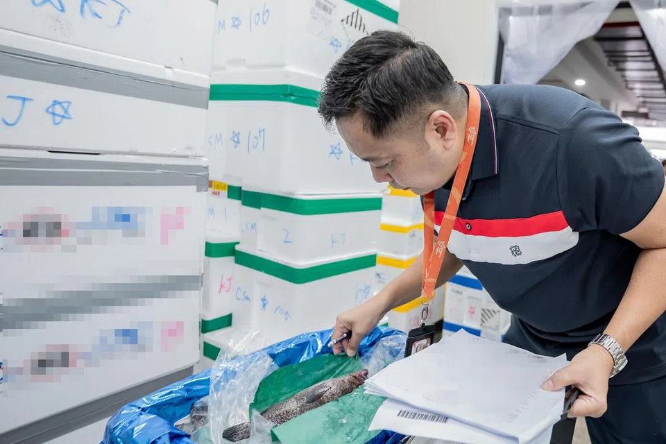 Encik Surita Nasan akan ke lokasi syarikat import, dan akan memeriksa barangan makanan dengan senarai barangan yang telah diluluskan SFA. Beliau juga akan memastikan mutu, warna, tekstur produk tersebut untuk memastikan ia segar.