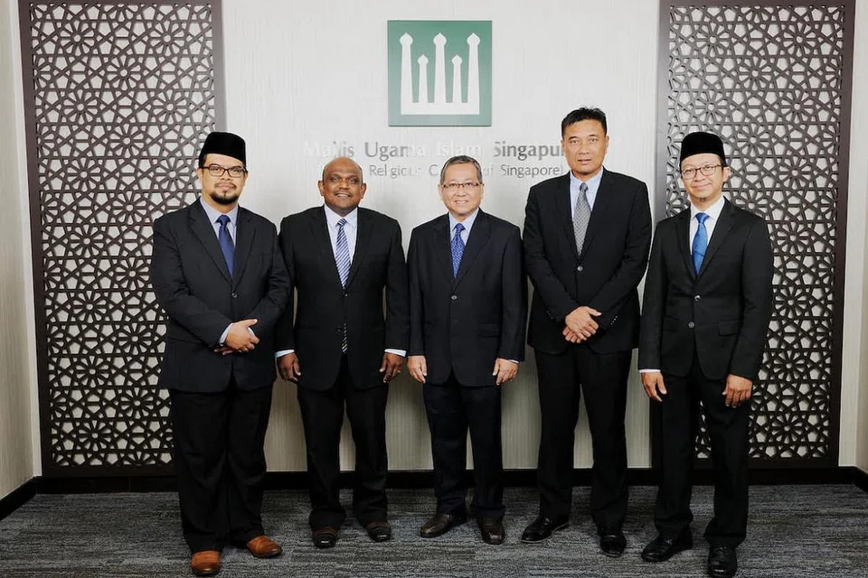 Yalangoch kokraklardagi siklarning videolari