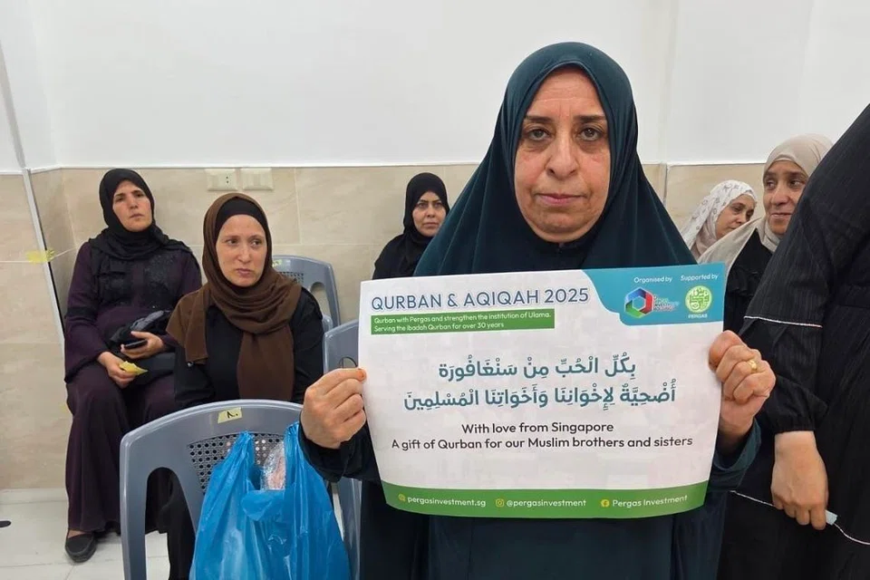 pergas investment holdings