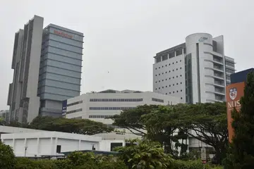 biasiswa perubatan NUS, NUS medical school 