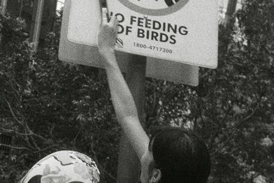 Cik Iffah Syafiqah Yusof (kiri), 26 tahun, bersama teman-temannya berjalan di daerah Chinatown dan Raffles Place menggunakan teknik mengimbas bagi menghasilkan imej yang bertekstur. 