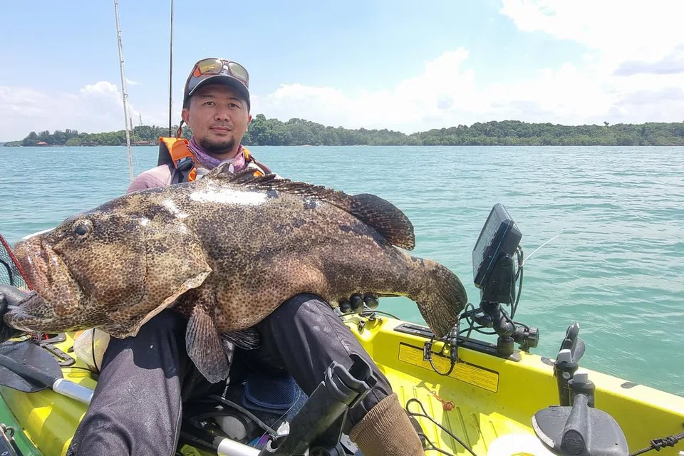 Ikan terbesar yang pernah ditangkap Encik Mohammad Nordin Kasmuri ialah seekor ikan kerapu seberat sekitar 20 kilogram.
