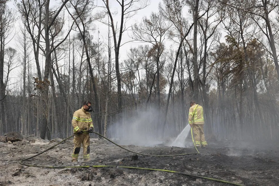 Para anggota bomba giat memadam api di kawasan Latrun di tengah Israel, antara Baitulmakdis dengan Tel Aviv, pada 1 Mei 2025