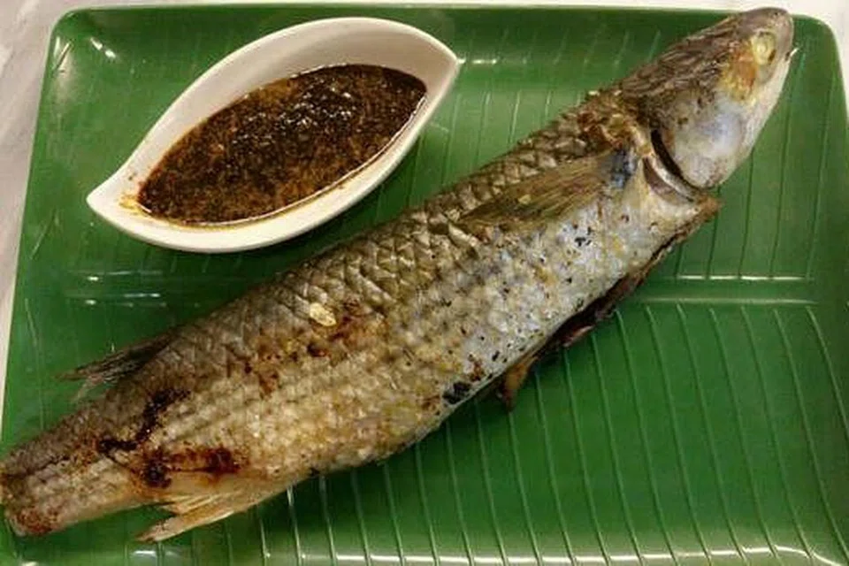 IKAN BELANAK BAKAR
