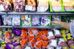 flu burung, ayam brazil, ayam import