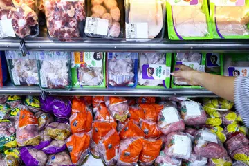 flu burung, ayam brazil, ayam import