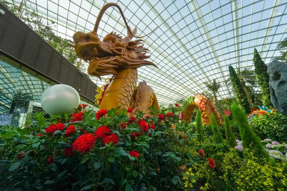 (Gambar kanan) Naga setinggi dua tingkat dan sepanjang 15 meter ini terletak di tengah Flower Dome atau Kubah Bunga di Gardens by the Bay. Selain pameran naga, terdapat empat tanglung naga berwarna-warni, bagi melambangkan unsur logam, air, api dan tanah. Pengunjung boleh menikmati persekitaran itu dan bergambar bersama naga dari 9 pagi hingga 9 malam sehingga 17 Mac.