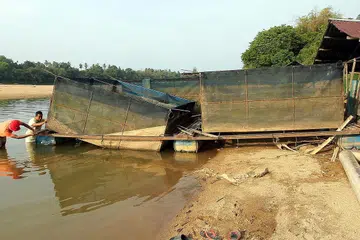 Penternak ikan, Encik Nizam Jalil (atas), dengan seorang pekerja memeriksa sangkar yang rosak di tebing Sungai Pahang, berhampiran Kampung Bangau Parit di Temerloh. - Foto BERNAMA