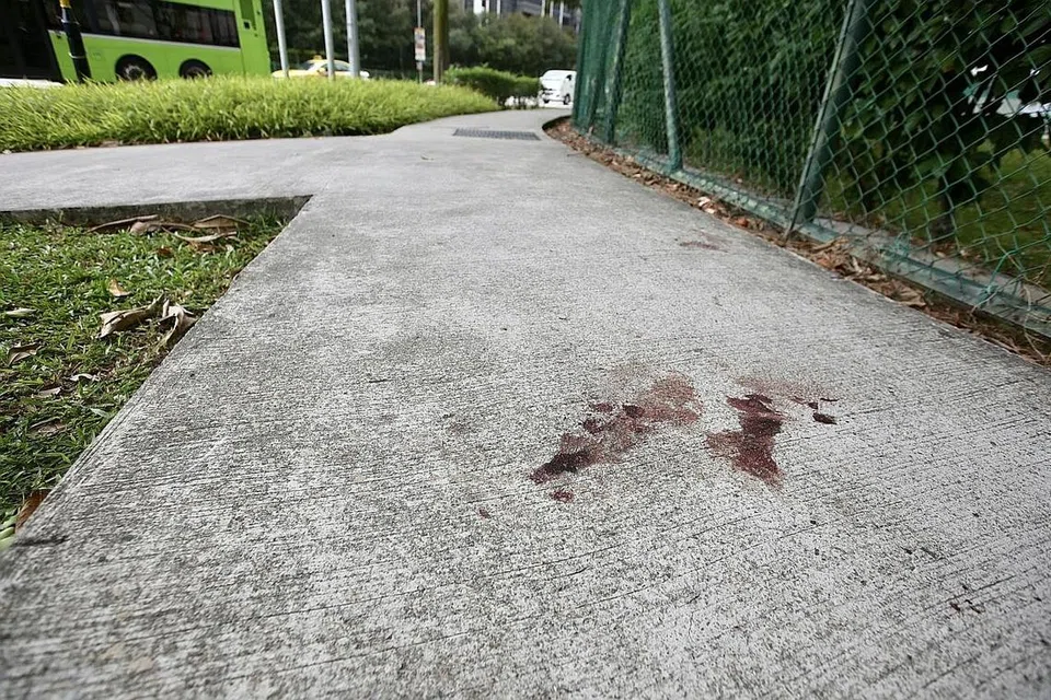 LOKASI SERANGAN: Serangan babi hutan berlaku di Edgefield Plains di Punggol sedang mangsa sedang berjalan dari tempat kerjanya di Sekolah Menengah Punggol menuju ke perhentian bas. - Foto SHIN MIN 