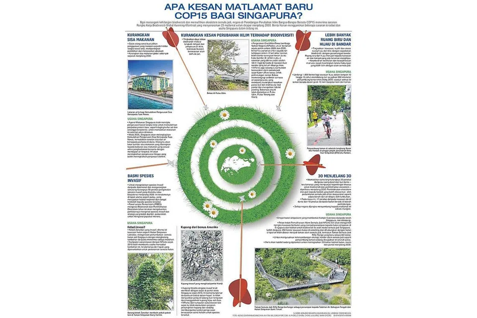 b95d9eaf-d959-46a9-b18c-888ec8759adf