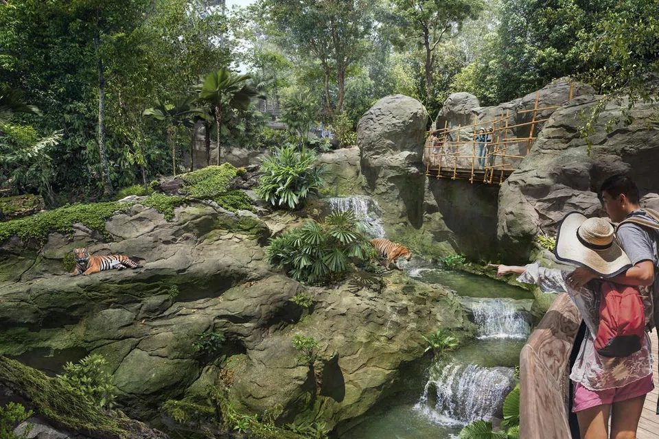 Pengunjung boleh melihat harimau Malaya di Rock Cascade di dalam Rainforest Wild Asia.