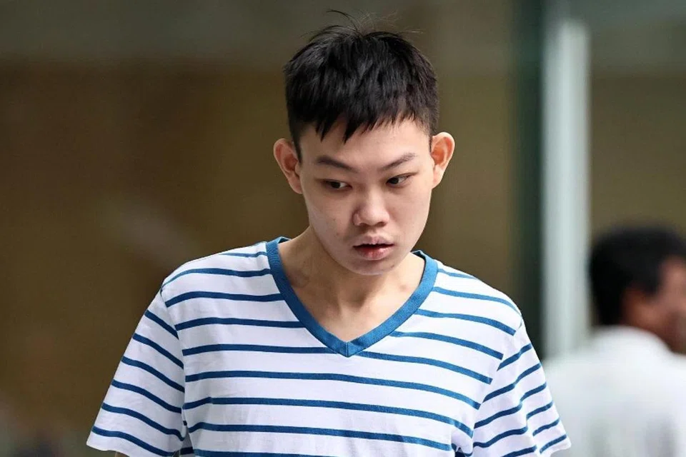 Chua Wang Cheng, dijatuhi hukuman penjara  pada 23 Disember setelah  mengaku bersalah atas satu pertuduhan di bawah Akta Perlindungan Daripada Gangguan dan dua pertuduhan iaitu berkongsi kandungan dengan niat sengaja melukai perasaan umat Islam.