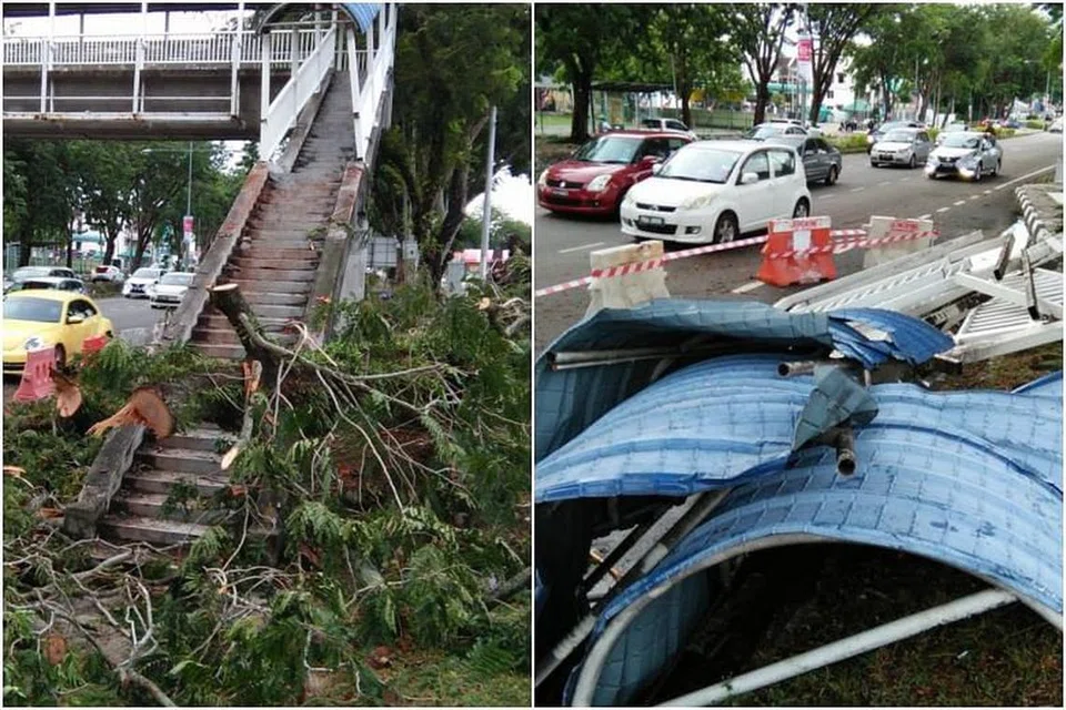 Puluhan pokok tercabut dan kepingan zink tersiat semasa ribut yang berlaku pada 11 malam dan berterusan selama 30 minit. 