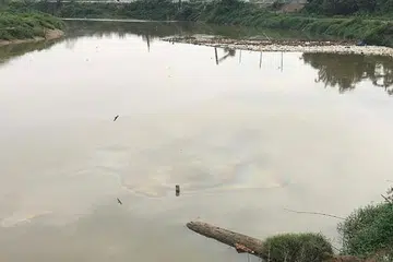 SUNGAI TERCEMAR DEK TOMPOKAN MINYAK: Pencemaran Sungai Selangor mengakibatkan penutupan logi rawatan air yang menjejas 5 juta pengguna di sekitar Selangor dan Kuala Lumpur. - Foto THE STAR