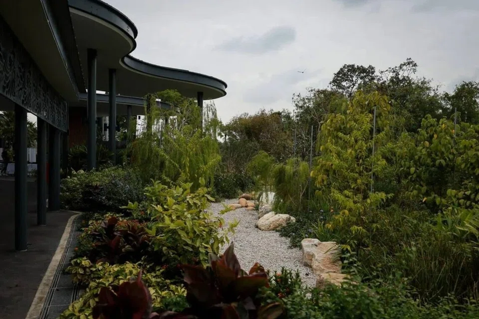 taman hujan, gardens by the bay, tumbuhan tahan banjir, usaha hijau 