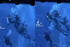 KURSUS MENYELAMAT: S.E.A. Aquarium berkata kejadian yang diterbit di TikTok itu adalah sebahagian kursus latihan penyelam penyelamat bagi kakitangan syarikat itu.