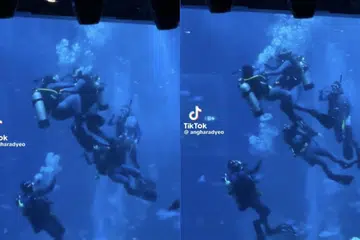 KURSUS MENYELAMAT: S.E.A. Aquarium berkata kejadian yang diterbit di TikTok itu adalah sebahagian kursus latihan penyelam penyelamat bagi kakitangan syarikat itu.