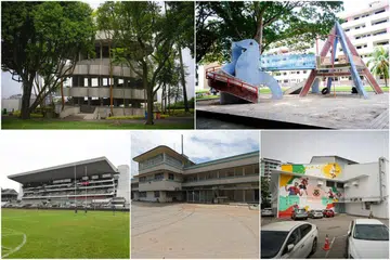 (Mengikut putaran jam, dari kiri di atas) Menara Jurong Hill, kawasan perumahan Dakota Crescent, Dewan Badminton Singapura, bekas blok pentadbiran Tentera Laut Diraja Malaya, dan astaka di Turf City telah diusulkan Penguasa Pembangunan Semula Bandar (URA) untuk dipelihara sebagai warisan.