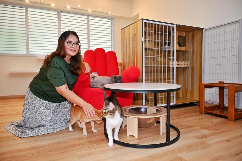 Demi keselesaan kucing yang dijaga, Cik Siti Iswani Zainal, sanggup berpindah dari flat tiga bilik ke flat lima bilik.