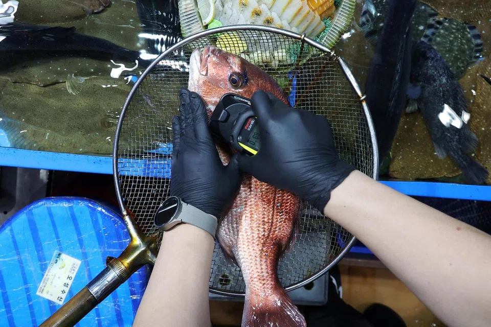 LANGKAH KESELAMATAN: Seorang pegawai sedang mengukur tahap radiasi pada ikan yang diimport dari Jepun semasa menjalankan pemeriksaan di pasar borong Noryangjin di Seoul, Korea Selatan. 