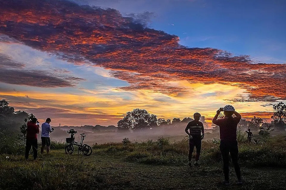 PENGHUBUNG TAMAN ULU SEMBAWANG: Kabus pagi menambahkan keindahan di penghubung taman di Mandai ini yang menyatukan Penghubung Taman Woodlands (SLE) ke Penghubung Taman Mandai. - Foto BH oleh GAVIN FOO