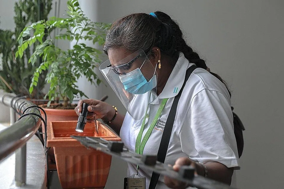 KAWALAN: Seorang pegawai NEA sedang menjalankan pemeriksaan mengesan tempat pembiakan nyamuk. - Foto NEA