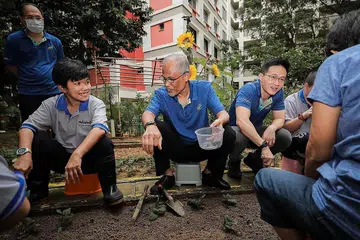 TANAM BERSAMA: Encik Masagos Zulkifli (tengah) telah menanam sayur bersama Cik Mardianah Ann (kiri) di kebun masyarakat Tampines Changkat di depan Blk 306 Tampines Street 32. Bersama dalam gambar adalah Mayor CDC North East Encik Desmond Choo (kanan). - Foto BH oleh GAVIN FOO