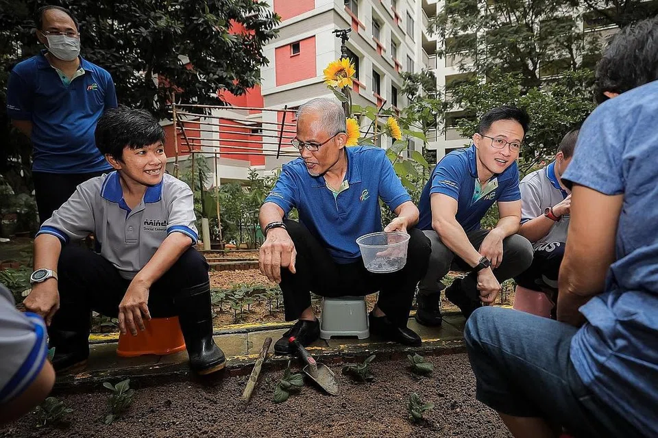 TANAM BERSAMA: Encik Masagos Zulkifli (tengah) telah menanam sayur bersama Cik Mardianah Ann (kiri) di kebun masyarakat Tampines Changkat di depan Blk 306 Tampines Street 32. Bersama dalam gambar adalah Mayor CDC North East Encik Desmond Choo (kanan). - Foto BH oleh GAVIN FOO
