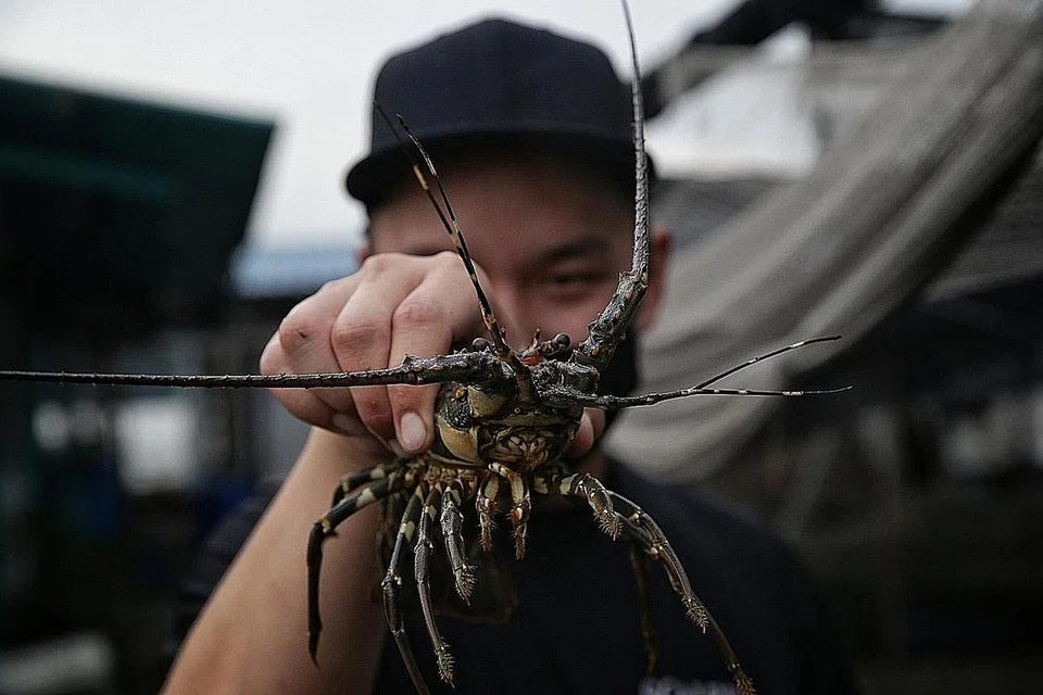 KAYA ALAM SEMULA JADI: Pulau Ubin terkenal dengan kepelbagaian biologinya, dan kini terdapat rancangan untuk memastikan alam semula jadinya terus berkembang di pulau itu. - Foto fail
