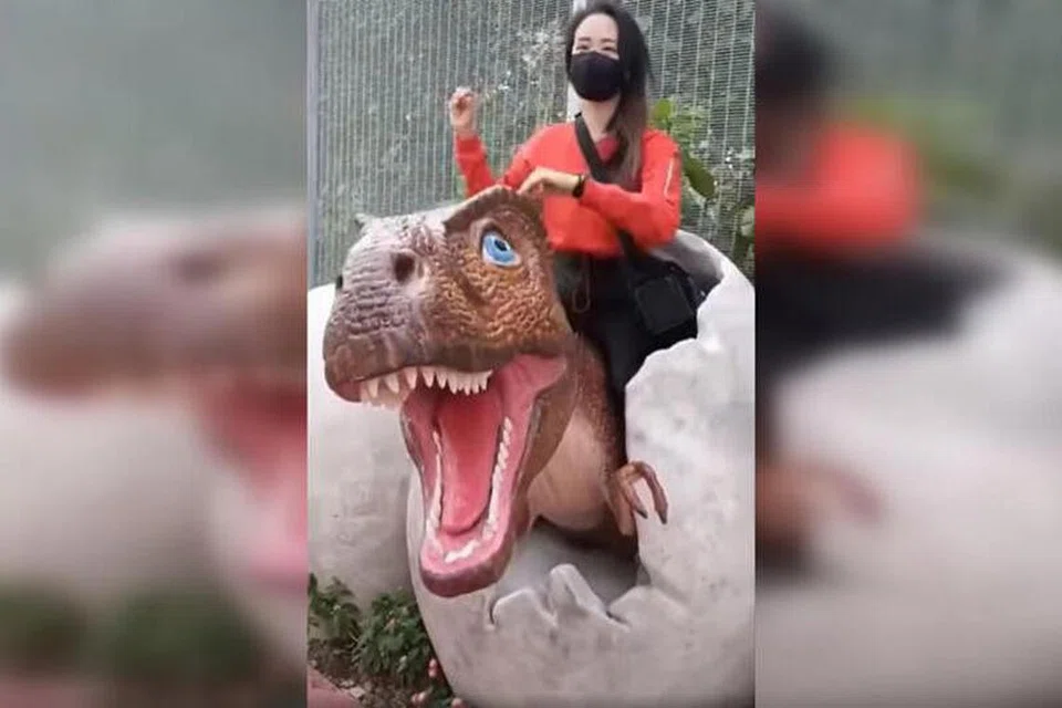 Seorang wanita dirakam sedang 'menunggang' patung dinosaur di pameran Changi Jurassic Mile. 