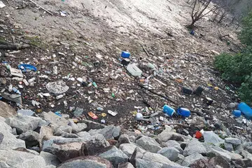 Malaysia, Singaporeans, littering