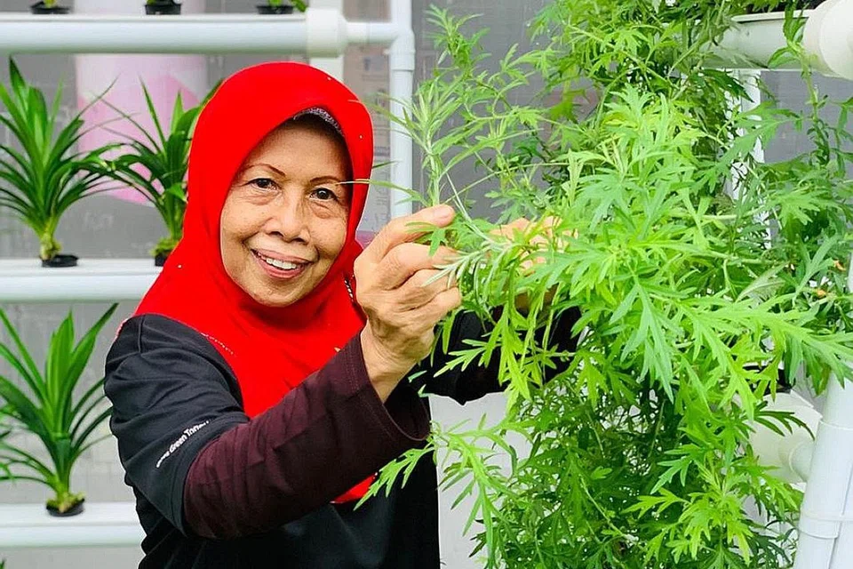 MINAT BERKEBUN SEJAK KECIL: Cik Salbiah telah berkhidmat sebagai relawan di kebun masyarakat eko Our Tampines Hub sejak 2016. - Foto OUR TAMPINES HUB
