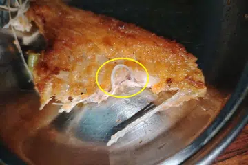 Seorang wanita, yang hanya mahu dikenali sebagai Liz, menemui ulat sepanjang 6.5 sentimeter dalam ikan salmon yang dibelinya dari salah satu cawangan FairPrice di Bedok North pada 12 Ogos.