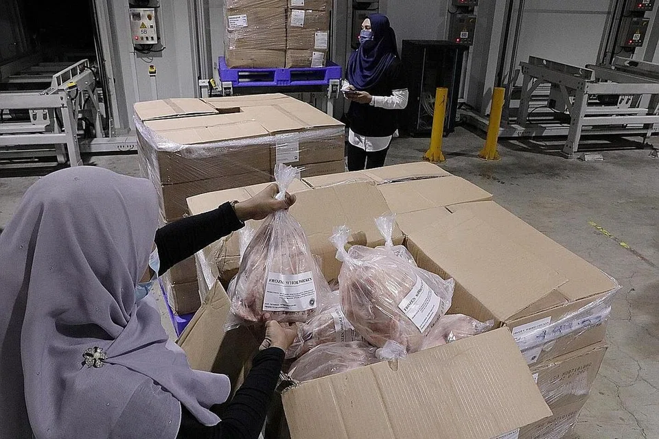 ALTERNATIF BAGI SUMBER AYAM: Encik Leek, Menteri Negara Kanan (Kemampanan dan Sekitaran merangkap Tenaga Manusia), Dr Koh Poh Koon, dan Encik Suryo, menerima kumpulan ayam beku pertama dari Indonesia yang tiba di Singapura. (Gambar atas) Ayam beku pertama dari Indonesia - Foto-foto BH oleh KELVIN CHNG