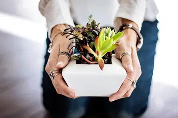 Allah swt menyebutkan perumpamaan mereka yang bersedekah secara ikhlas seperti kebun yang berada di tanah tinggi, subur dan apabila dituruni hujan, maka kebun itu mengeluarkan hasil yang berlipat ganda. 