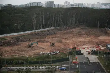 KESILAPAN: Siasatan sedang dijalankan setelah sebahagian kawasan hutan Kranji yang diperuntuk bagi projek Taman Inovasi Agro-Makanan ditebang, meski kajian dasar kepelbagaian bio bagi kawasan itu masih dijalankan pihak berkuasa. - Foto fail