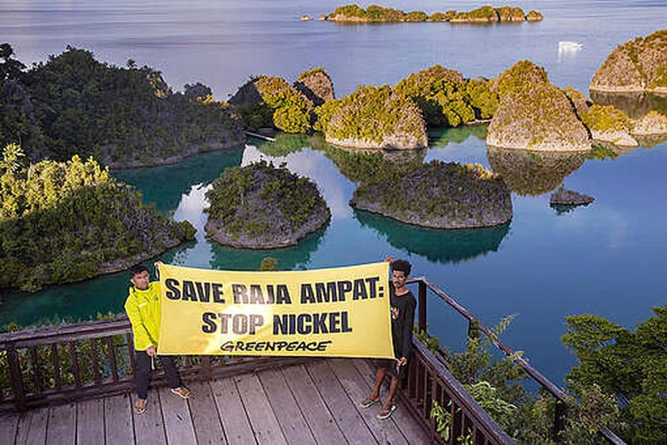 Gugusan kepulauan timur Raja Ampat di Wilayah Papua Barat Daya terletak dalam Segitiga Terumbu Karang dan dianggap sebagai salah satu kawasan terumbu paling murni di dunia, dengan perairan biru jernihnya menjadikannya lokasi selaman yang sangat popular.