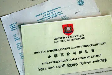 KEPUTUSAN PSLE: Murid-murid darjah 6 yang menduduki Peperiksaan Tamat Sekolah Rendah (PSLE) ​​akan menerima keputusan peperiksaan mereka pada 22 November ini.