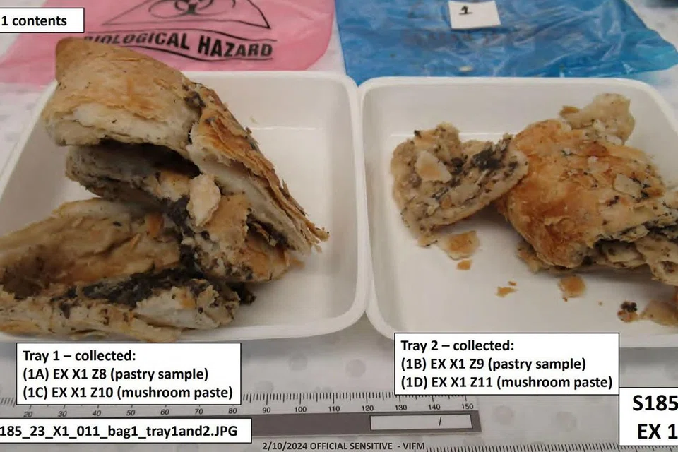Gambar edaran tanpa tarikh daripada Mahkamah Agung Victoria yang disiarkan pada 7 Julai 2025 ini menunjukkan foto pinggan-pinggan yang mengandungi sampel hidangan beef Wellington yang dicampur dengan cendawan beracun, disediakan oleh tukang masak amatur Australia, Erin Patterson, semasa analisis toksikologi di Institut Perubatan Forensik Victoria. Seorang wanita Australia didapati bersalah membunuh ibu bapa dan ibu saudara suaminya dengan meracun hidangan beef Wellington untuk makan tengah hari, menurut keputusan juri pada 7 Julai dalam perbicaraan yang menarik perhatian seluruh dunia. Patterson telah mengadakan jamuan makan kecil pada Julai 2023 yang bermula dengan gurauan mesra dan doa ikhlas — namun berakhir dengan kematian tiga orang tetamu