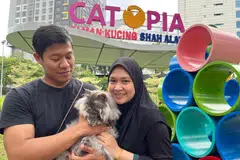 Pasangan suami isteri, Encik Asrof Rohani, 35 tahun, dan Cik Nor Hafifah Mokhtar, 31 tahun, merasakan Catopia di Selangor ialah taman permainan yang selamat untuk kucing mereka, Lulu, yang tidak biasa terdedah dengan dunia luar. 