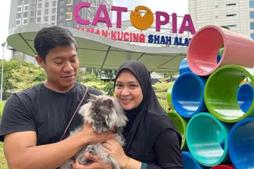 Pasangan suami isteri, Encik Asrof Rohani, 35 tahun, dan Cik Nor Hafifah Mokhtar, 31 tahun, merasakan Catopia di Selangor ialah taman permainan yang selamat untuk kucing mereka, Lulu, yang tidak biasa terdedah dengan dunia luar. 