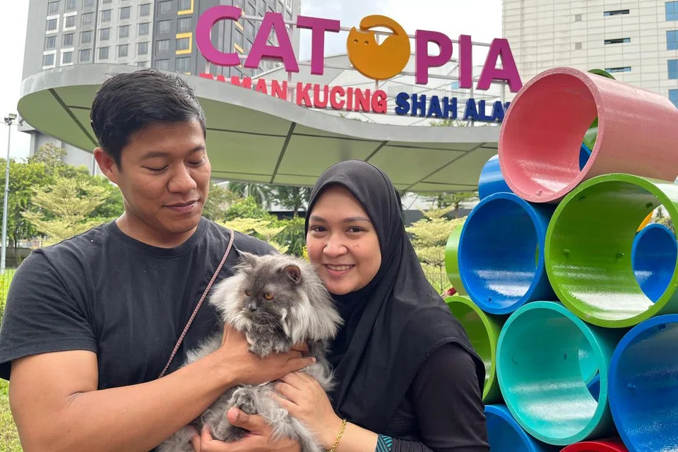 Pasangan suami isteri, Encik Asrof Rohani, 35 tahun, dan Cik Nor Hafifah Mokhtar, 31 tahun, merasakan Catopia di Selangor ialah taman permainan yang selamat untuk kucing mereka, Lulu, yang tidak biasa terdedah dengan dunia luar. 