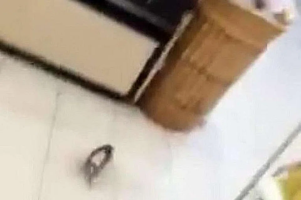 Masalah tikus itu terdedah selepas pengguna Facebook Sun Yu Ming memuat naik gambar dan video tikus di pasar raya itu pada Isnin dan Selasa lalu. Video itu menunjukkan apabila Encik Sun menarik keluar roti dari rak-rak , tikus lari keluar ke arah bahagian sayur-sayuran. Beliau juga memuat naik gambar menunjukkan pembungkusan roti digigit.